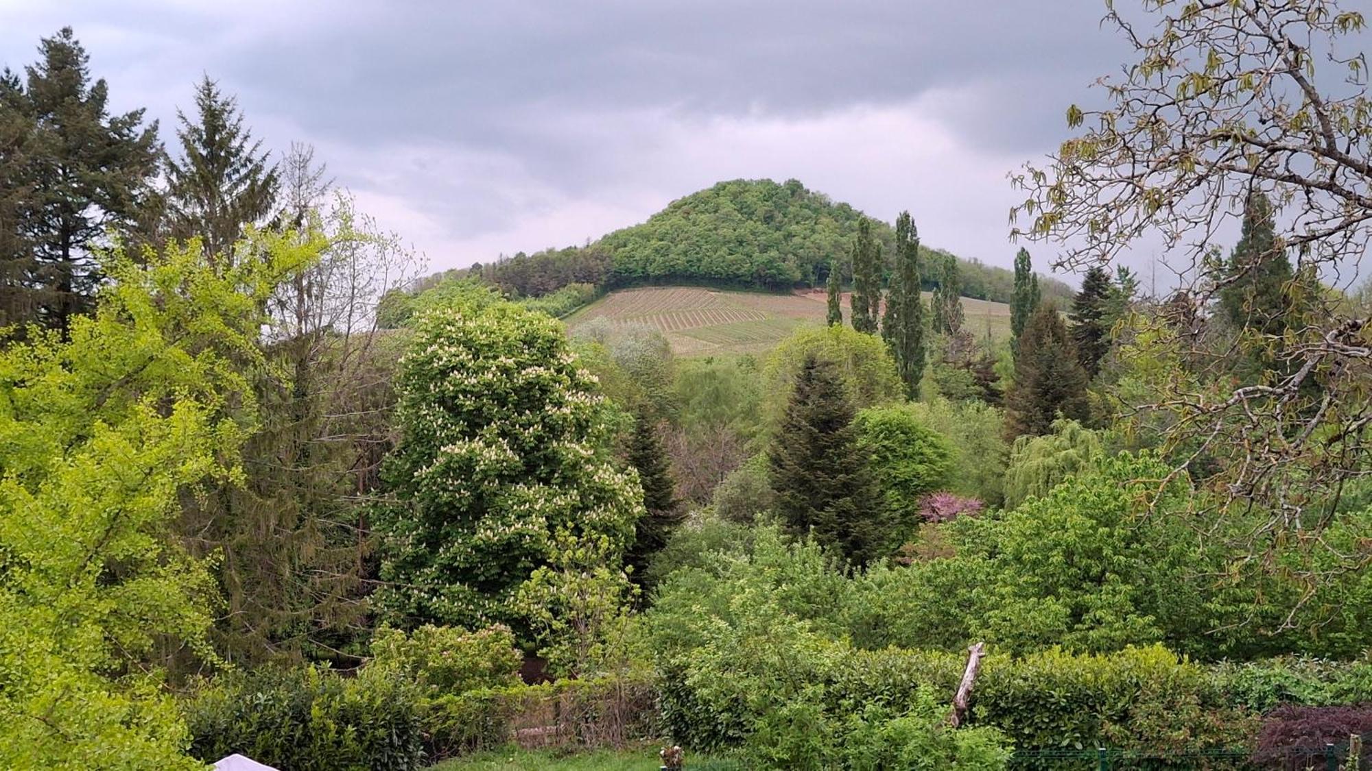 Studio Dans Belle Maison Ancienne Et Jardin Ferme L'Etoile  Dış mekan fotoğraf